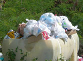 trash