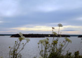 view from Meisner's Island, Chester, NS